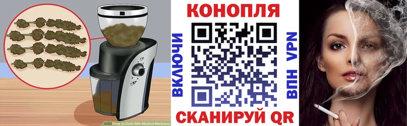 где продают наркотики  Болохово  Cannafood конопля 