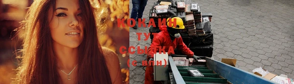 дурь Михайлов
