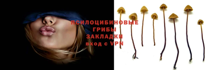 дурь Михайлов