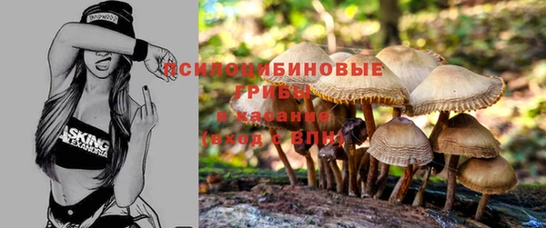 мескалин Семёнов
