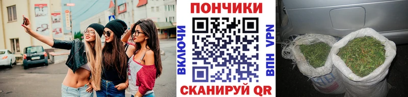 Конопля сатива  где найти   Болохово 
